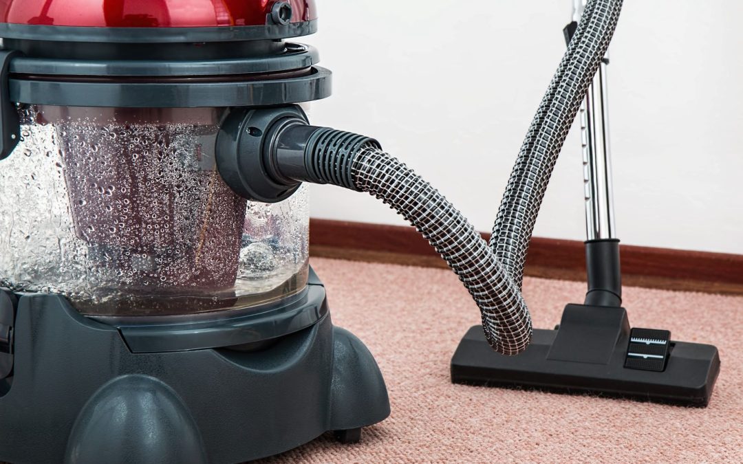 How Can We Choose a Professional Carpet Cleaning Service?